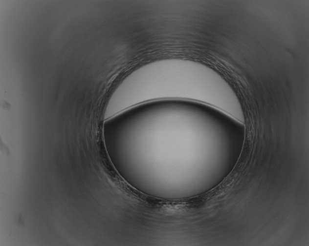 X0000091090560200708061001