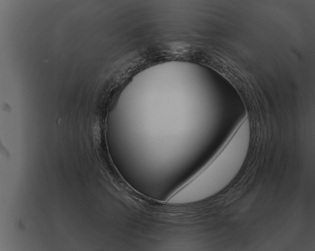 X0000091090562200708061001