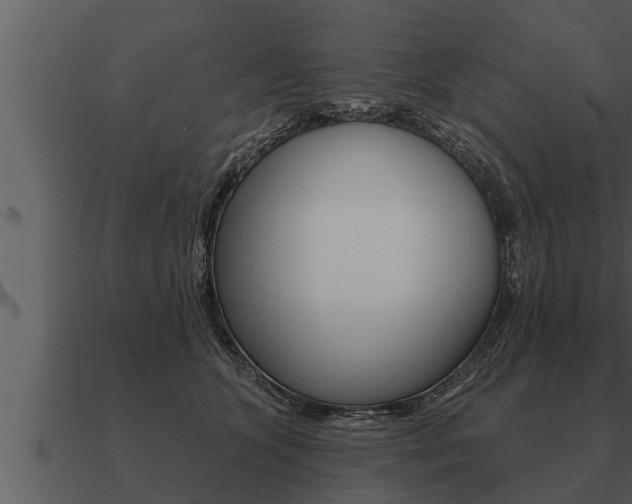 X0000091090563200708061001