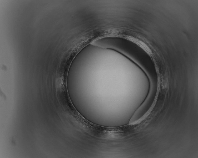 X0000091090564200708061001