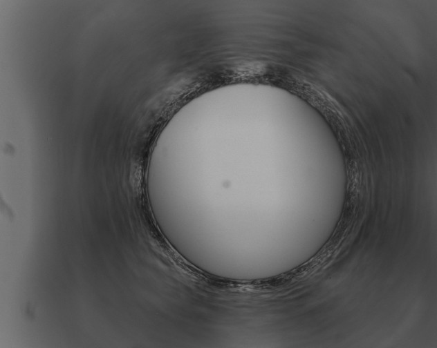 X0000091090565200708061001