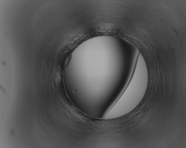 X0000091090566200708061001
