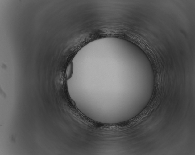 X0000091090567200708061001