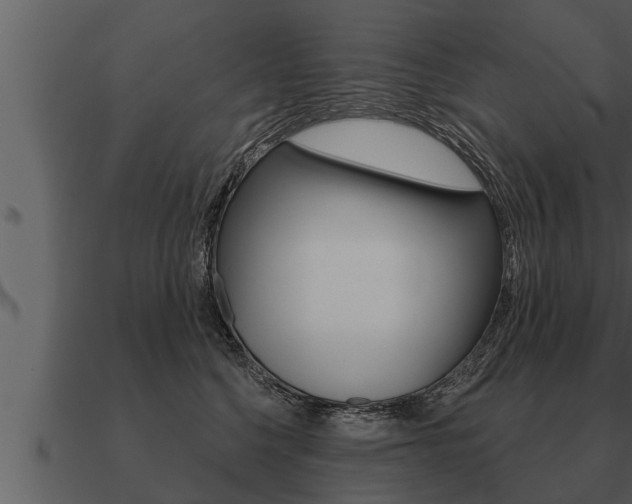 X0000091090568200708061001