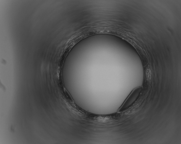 X0000091090570200708061001