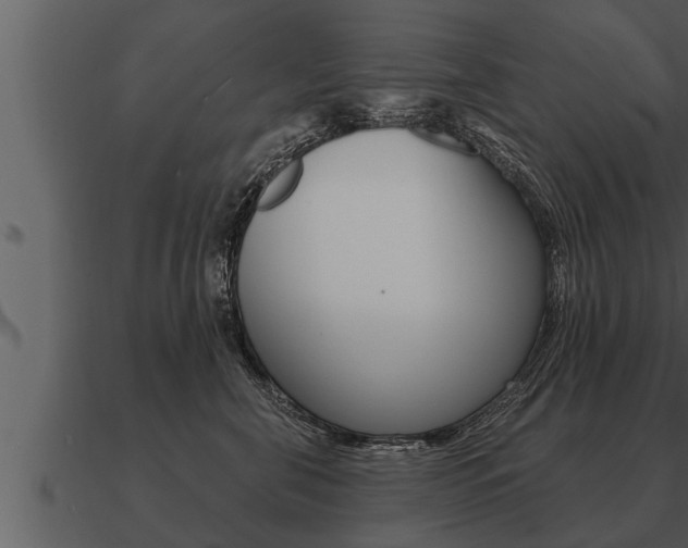 X0000091090571200708061001