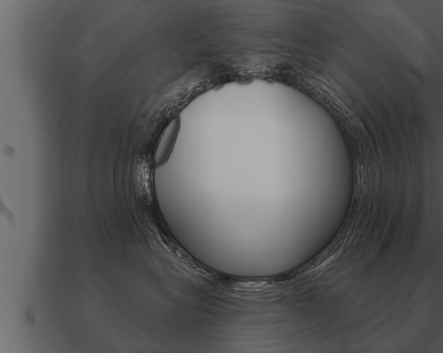 X0000091090575200708061001