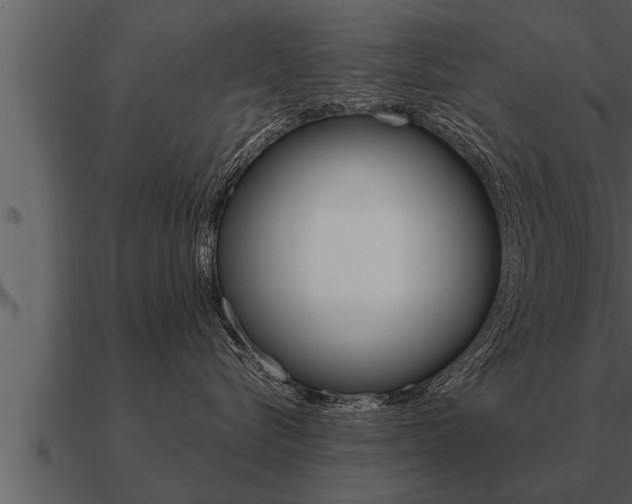 X0000091090576200708061001