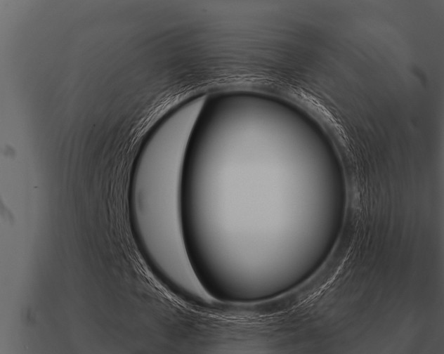 X0000091090577200708061001