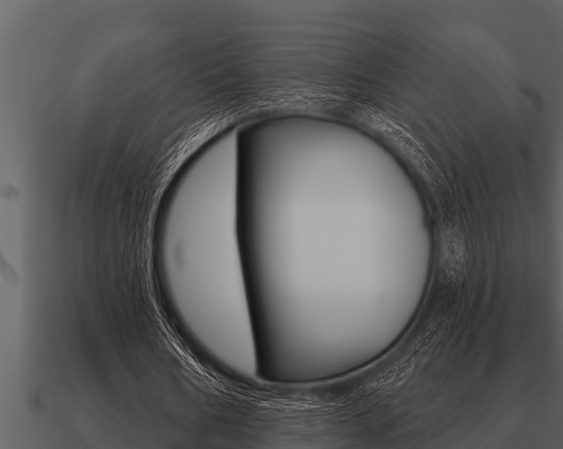 X0000091090578200708061001
