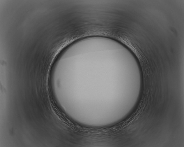 X0000091090579200708061001