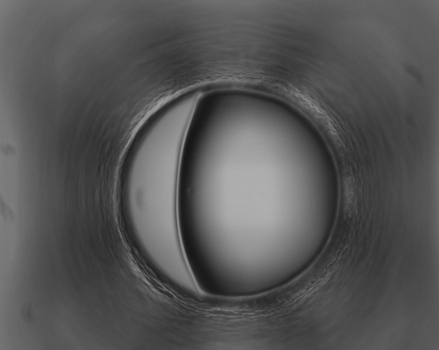 X0000091090580200708061001
