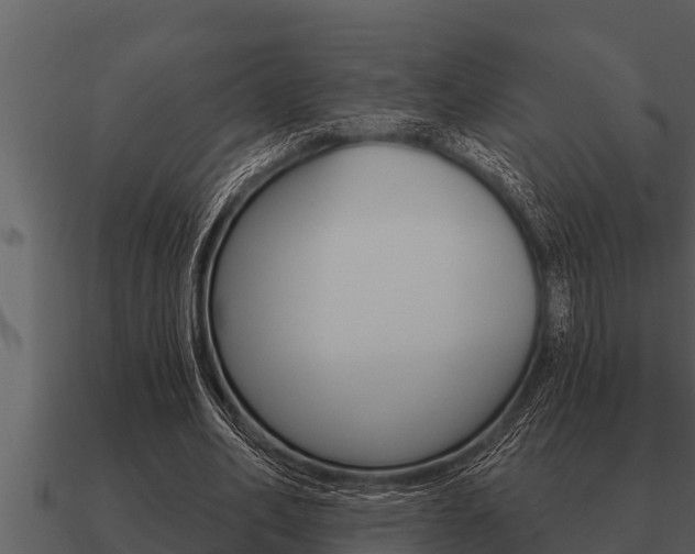 X0000091090582200708061001