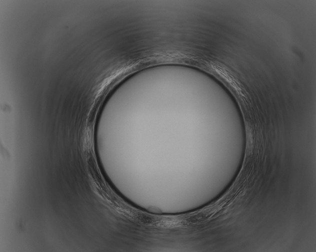 X0000091090583200708061001