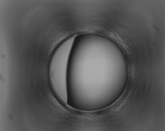 X0000091090585200708061001