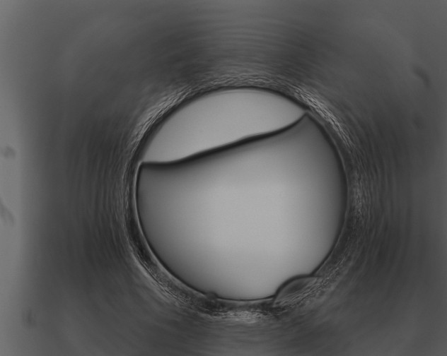 X0000091090586200708061001