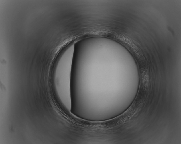 X0000091090587200708061001