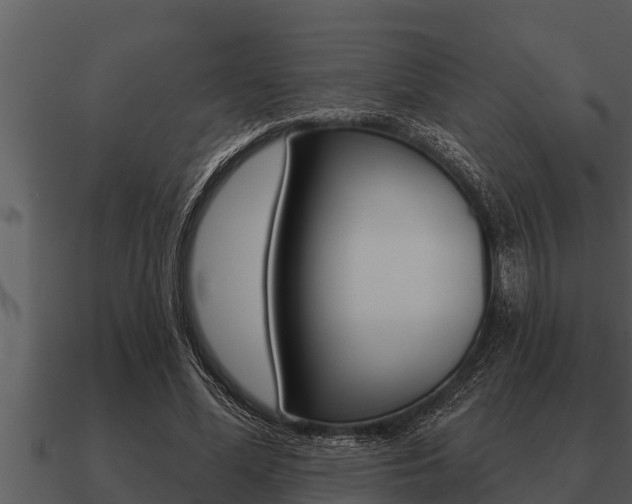 X0000091090588200708061001