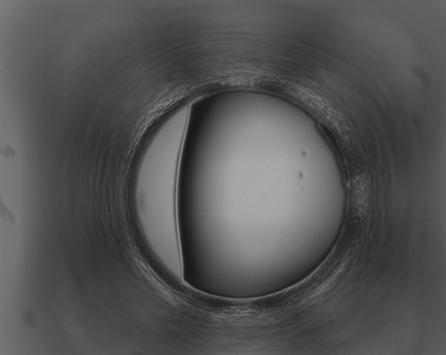 X0000091090589200708061001