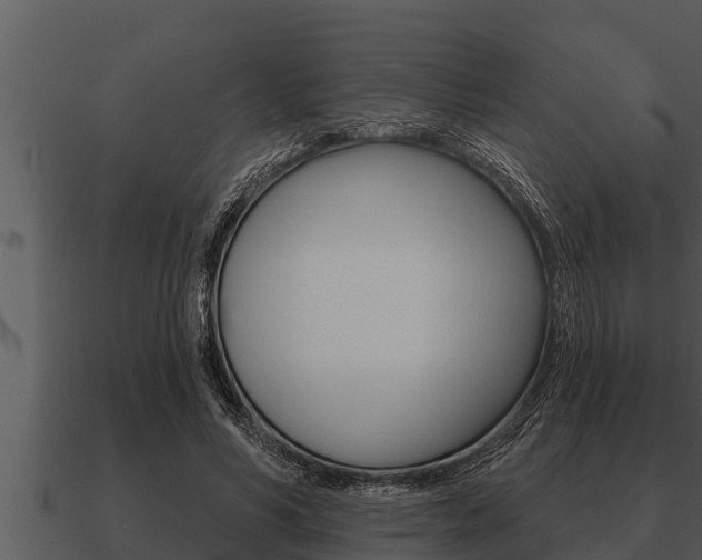X0000091090590200708061001