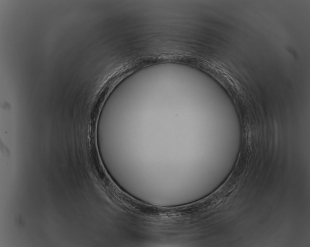 X0000091090591200708061000