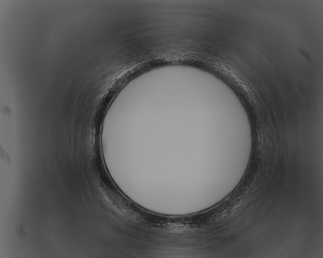 X0000091090592200708061000