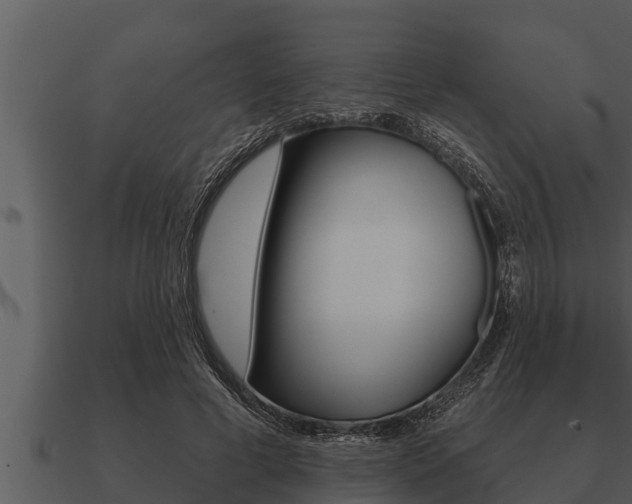 X0000091090593200708061000