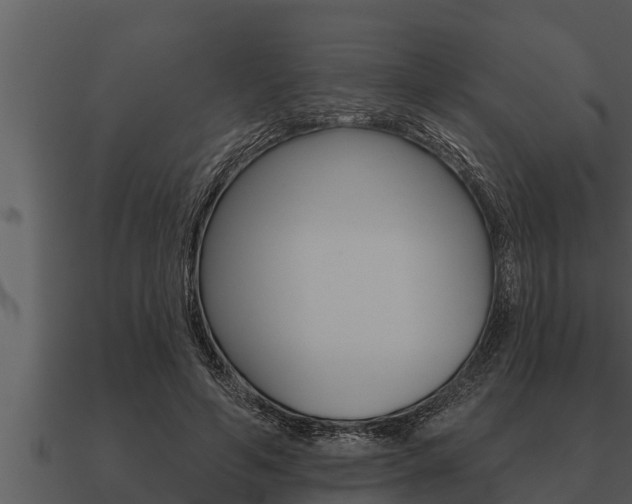 X0000091090594200708061000