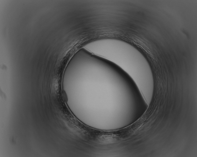 X0000091090595200708061000