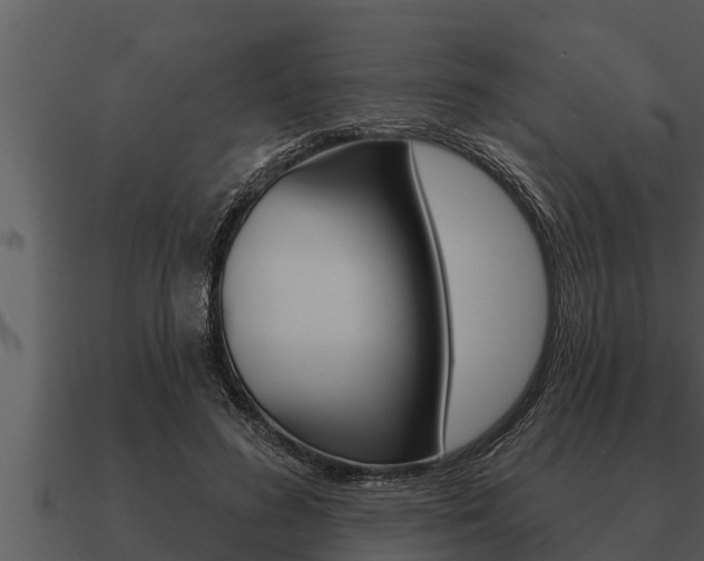 X0000091090596200708061000