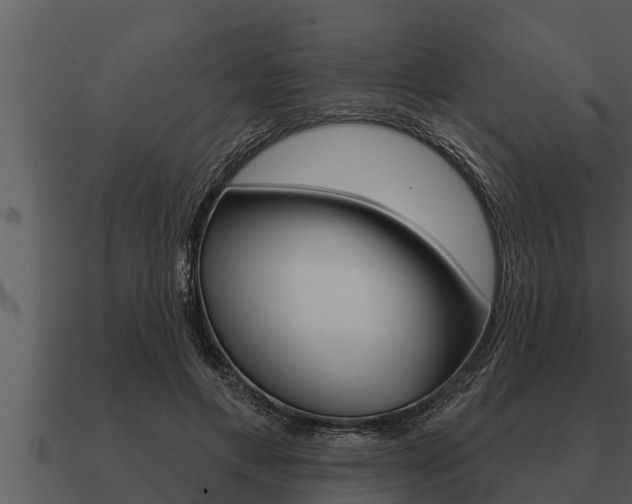 X0000091090597200708061000