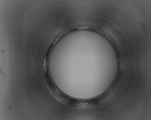 X0000091090598200708061000