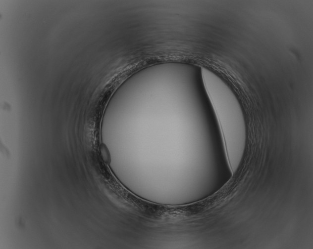 X0000091090599200708061000