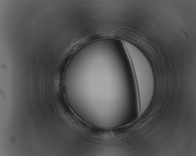 X0000091090600200708061000