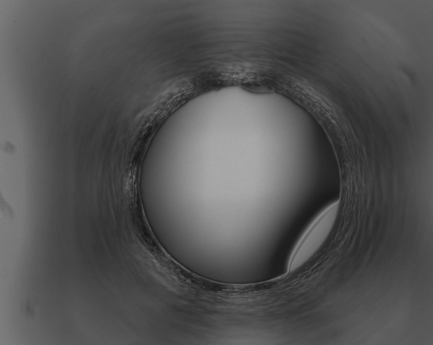 X0000091090601200708061000