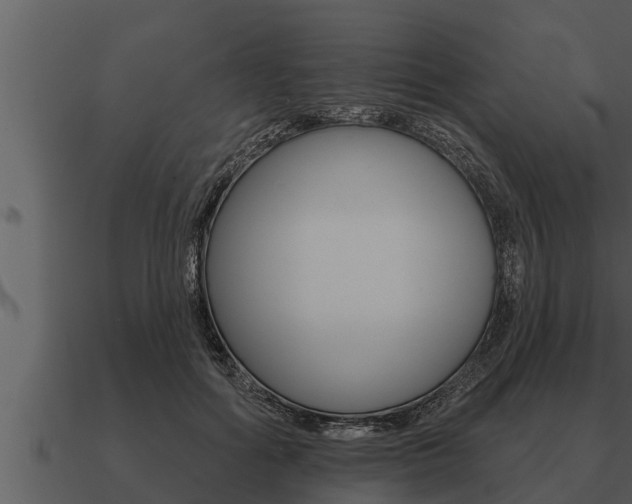 X0000091090602200708061000