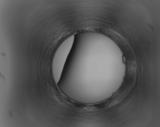 X0000091090603200708061000