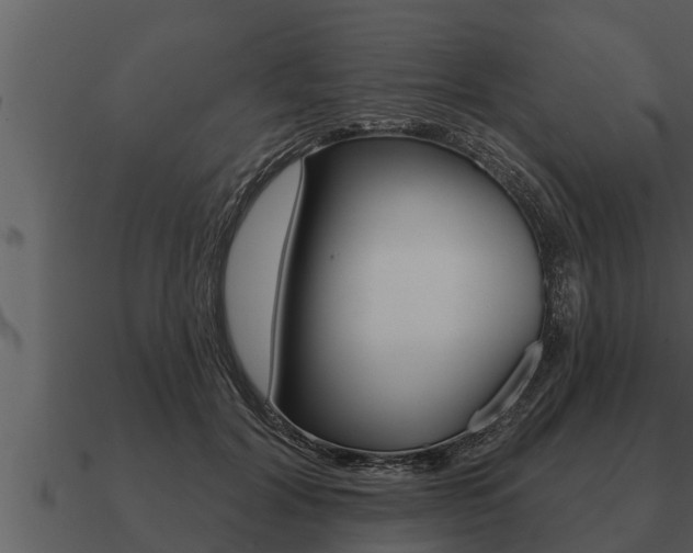X0000091090604200708061000