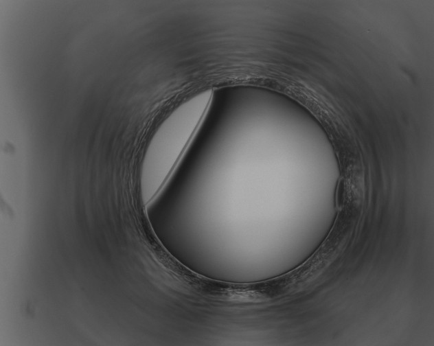 X0000091090605200708061000