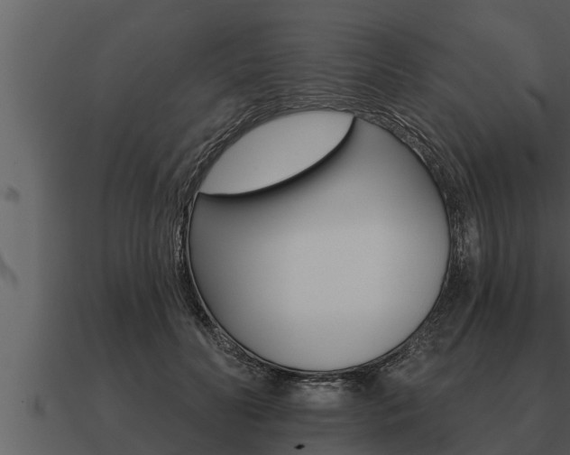 X0000091090606200708061000