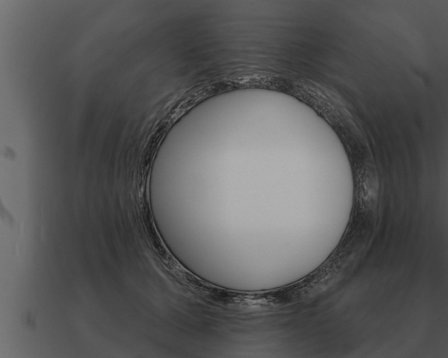 X0000091090607200708061000