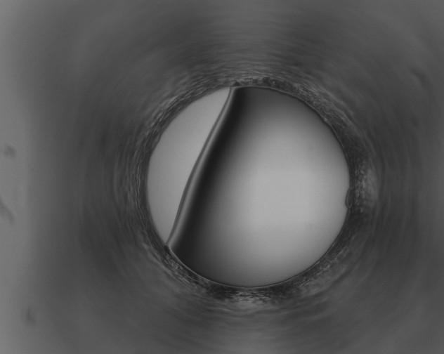 X0000091090608200708061000