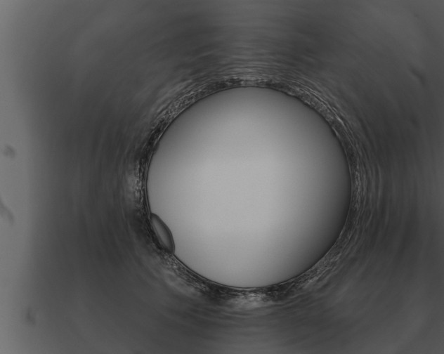 X0000091090609200708061000