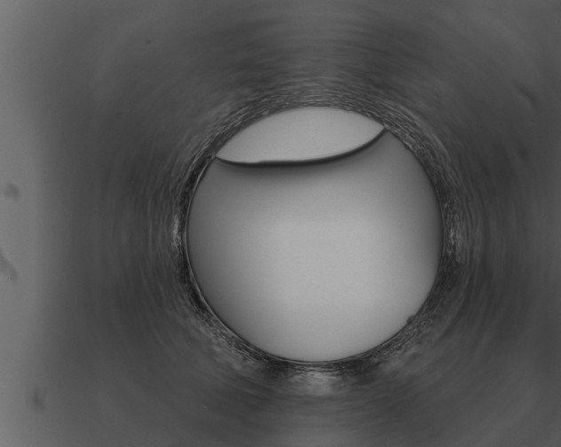 X0000091090610200708061000