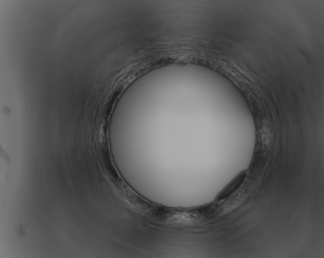 X0000091090611200708061000