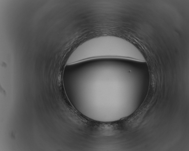X0000091090613200708061000