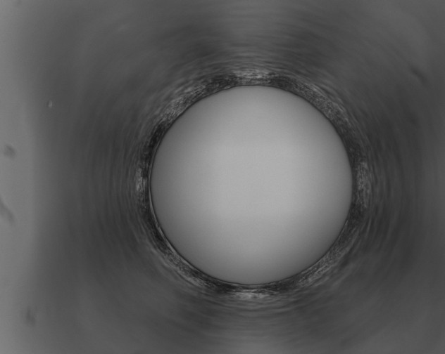 X0000091090614200708061000