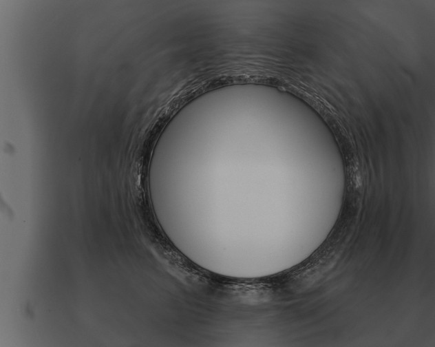 X0000091090615200708061000