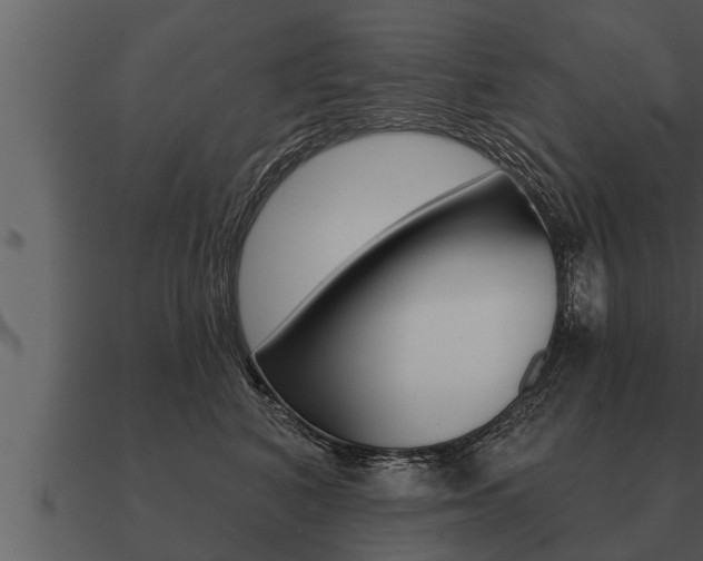 X0000091090616200708061000