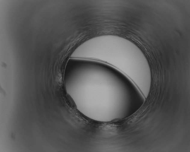 X0000091090617200708061000